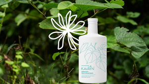 Kavayn Noble Kava Spirit