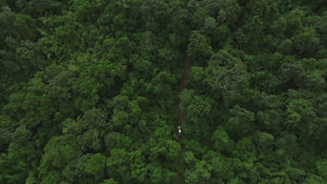 Video 3 trigger image